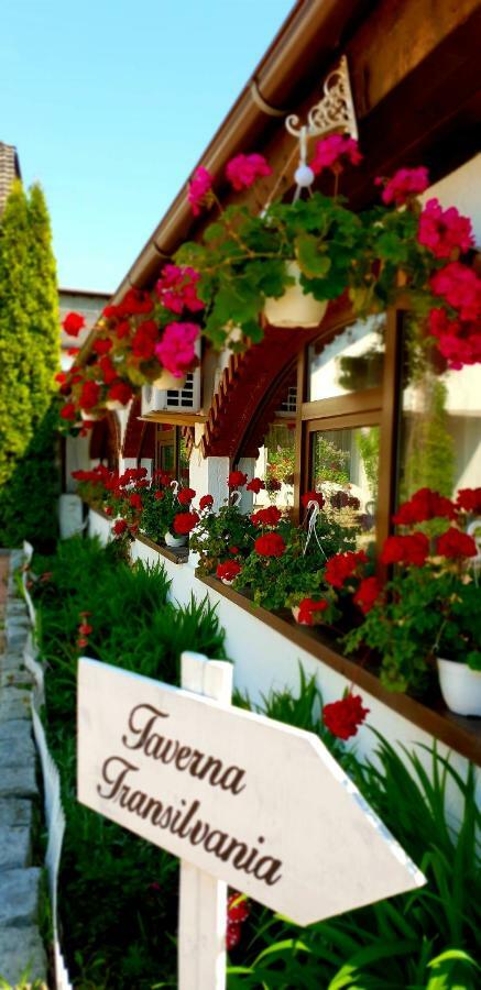 Hotel Elisabeta Alba Iulia Exterior foto
