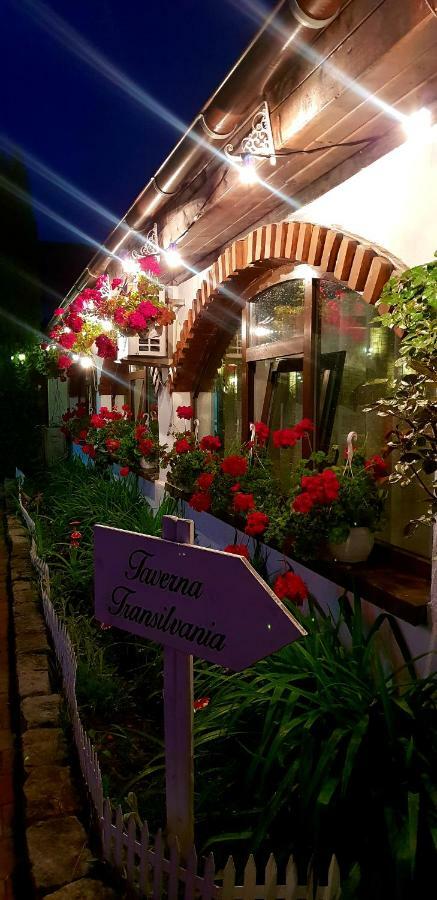 Hotel Elisabeta Alba Iulia Exterior foto
